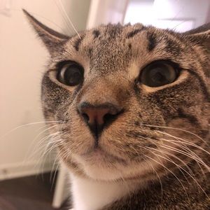 Meet your Posher, Yi ru